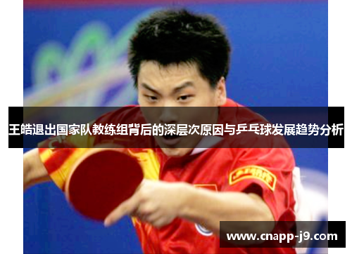 王皓退出国家队教练组背后的深层次原因与乒乓球发展趋势分析