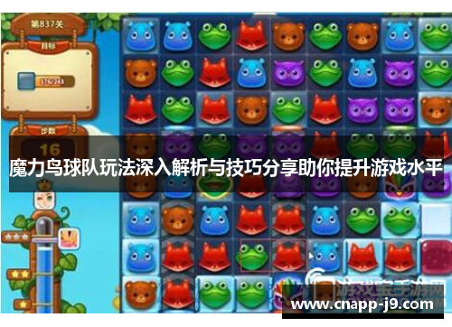 魔力鸟球队玩法深入解析与技巧分享助你提升游戏水平